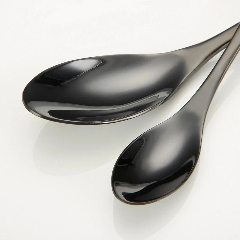 Western Black Stainless Steel Dinning Set 20pc