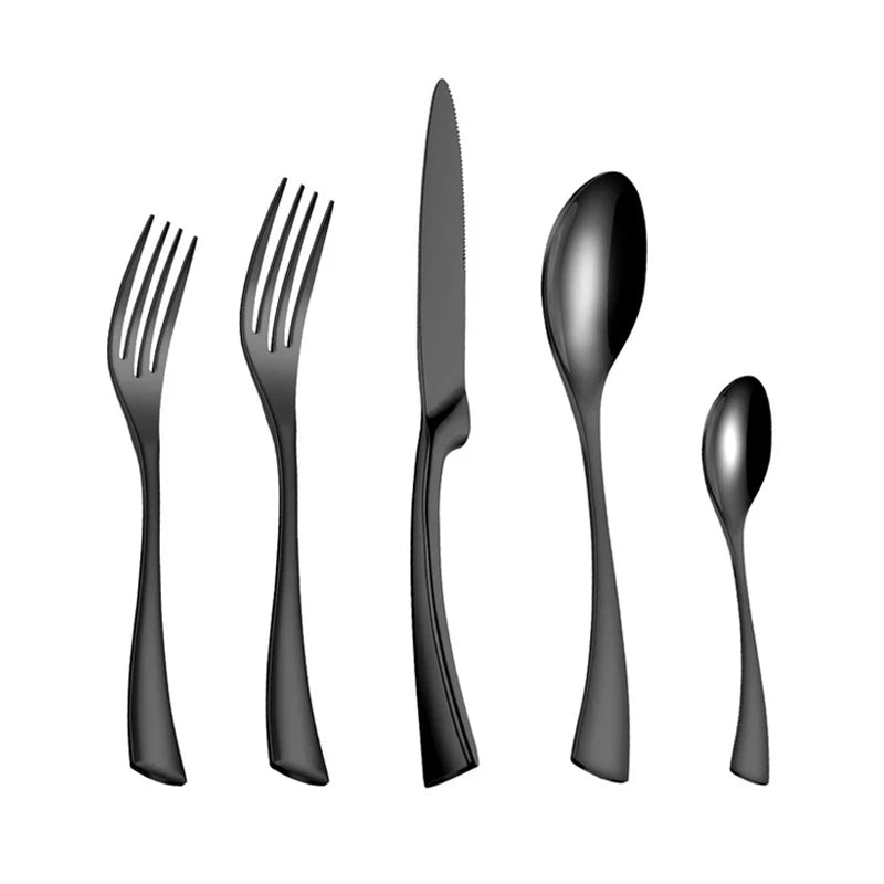 Western Black Stainless Steel Dinning Set 20pc